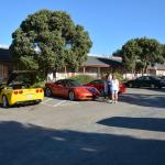 Cambria_0393 (November 01, 2013)